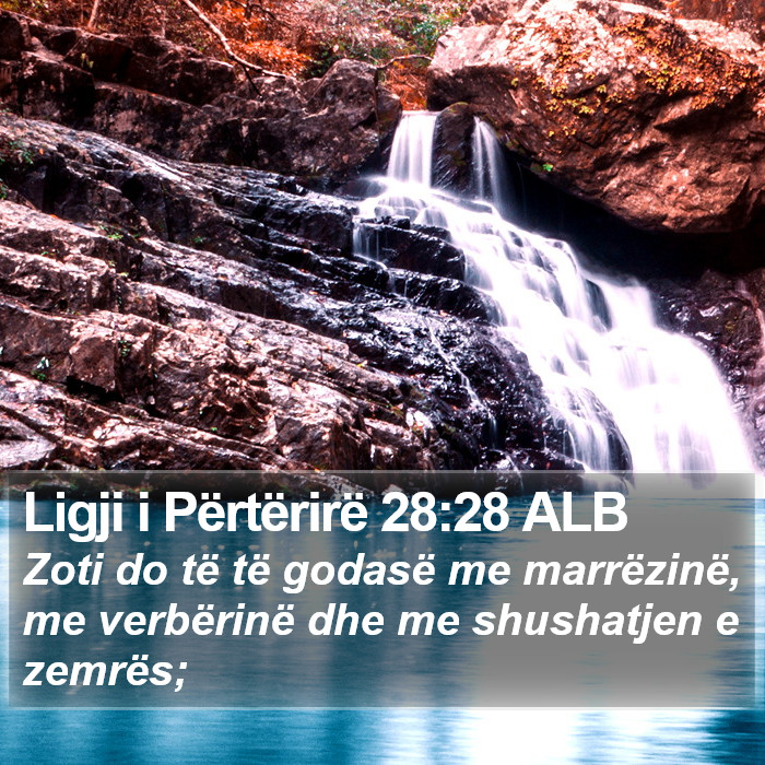 Ligji i Përtërirë 28:28 ALB Bible Study