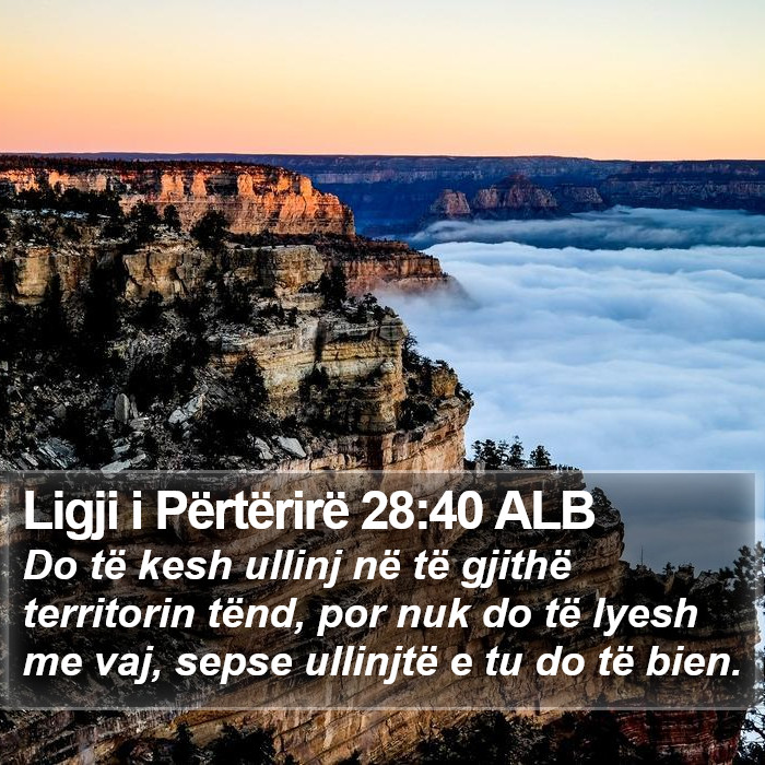 Ligji i Përtërirë 28:40 ALB Bible Study