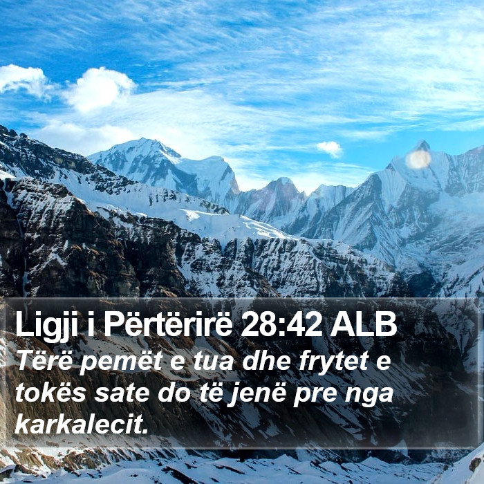 Ligji i Përtërirë 28:42 ALB Bible Study