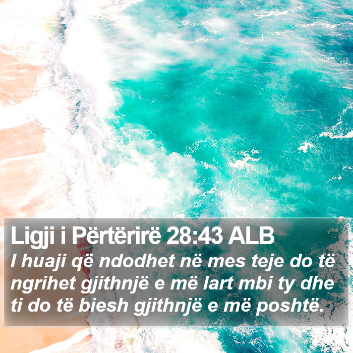 Ligji i Përtërirë 28:43 ALB Bible Study