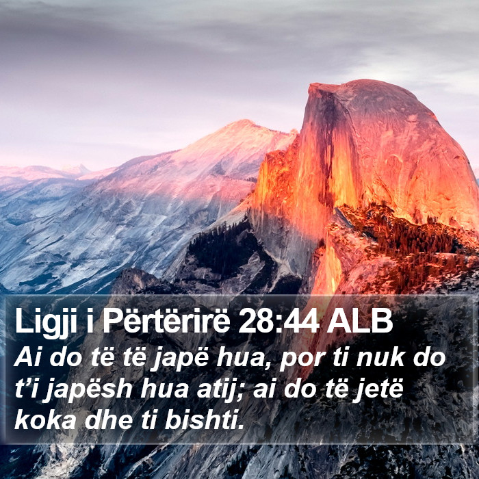 Ligji i Përtërirë 28:44 ALB Bible Study