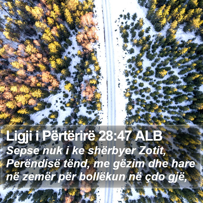 Ligji i Përtërirë 28:47 ALB Bible Study