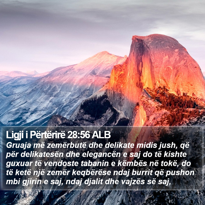 Ligji i Përtërirë 28:56 ALB Bible Study