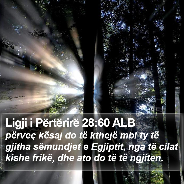 Ligji i Përtërirë 28:60 ALB Bible Study