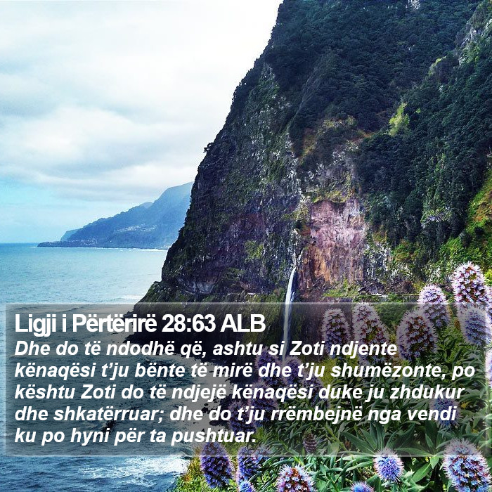 Ligji i Përtërirë 28:63 ALB Bible Study