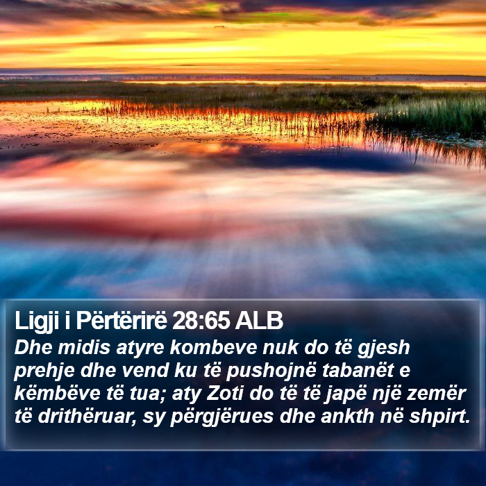 Ligji i Përtërirë 28:65 ALB Bible Study