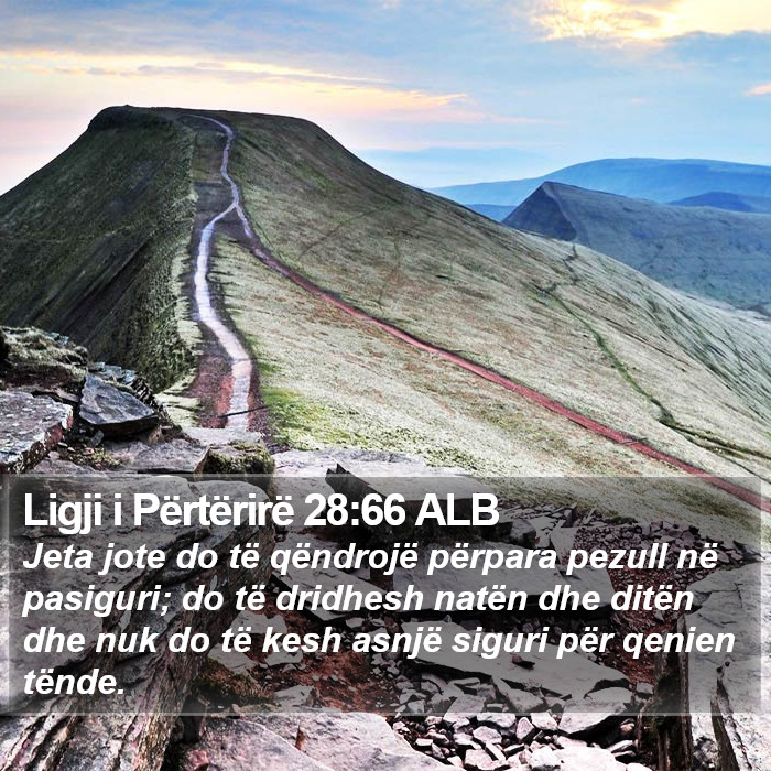 Ligji i Përtërirë 28:66 ALB Bible Study