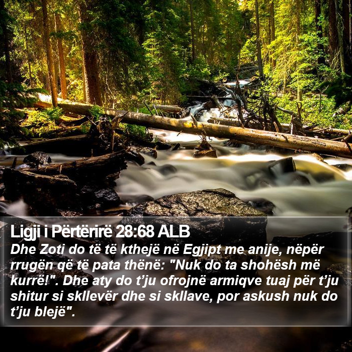 Ligji i Përtërirë 28:68 ALB Bible Study