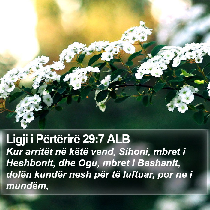 Ligji i Përtërirë 29:7 ALB Bible Study