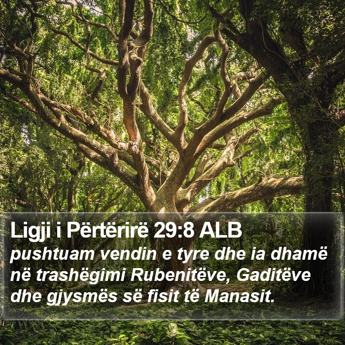 Ligji i Përtërirë 29:8 ALB Bible Study