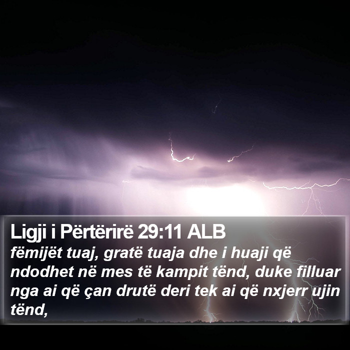 Ligji i Përtërirë 29:11 ALB Bible Study