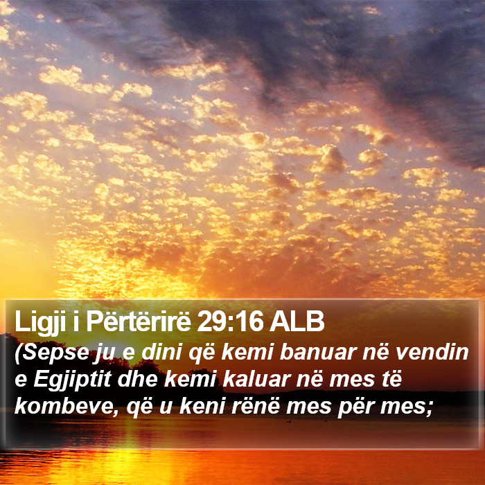 Ligji i Përtërirë 29:16 ALB Bible Study