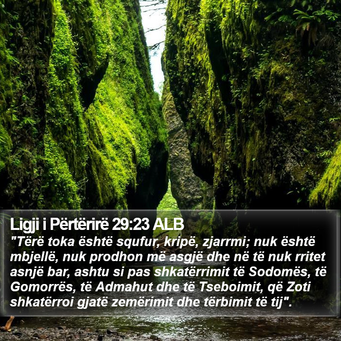 Ligji i Përtërirë 29:23 ALB Bible Study