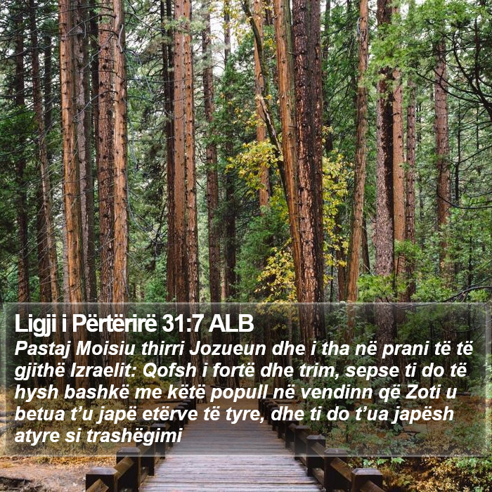 Ligji i Përtërirë 31:7 ALB Bible Study