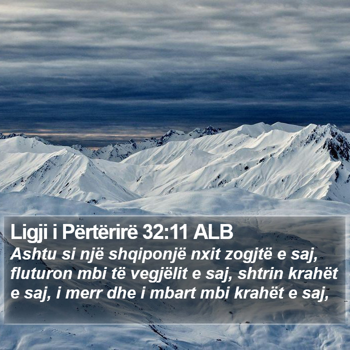 Ligji i Përtërirë 32:11 ALB Bible Study