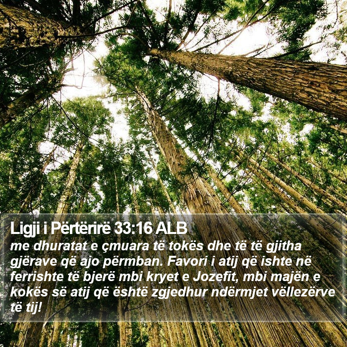 Ligji i Përtërirë 33:16 ALB Bible Study