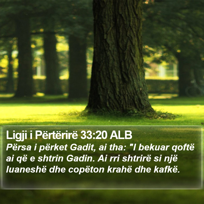 Ligji i Përtërirë 33:20 ALB Bible Study