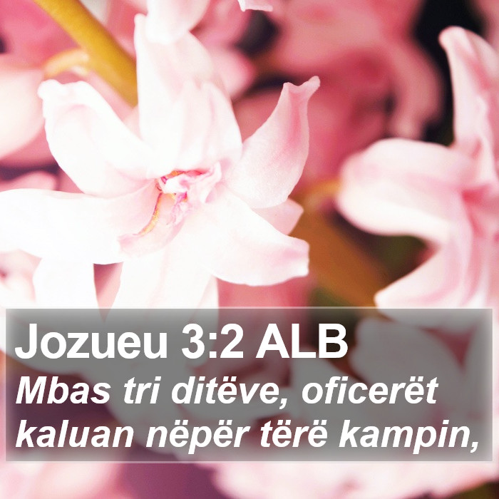 Jozueu 3:2 ALB Bible Study