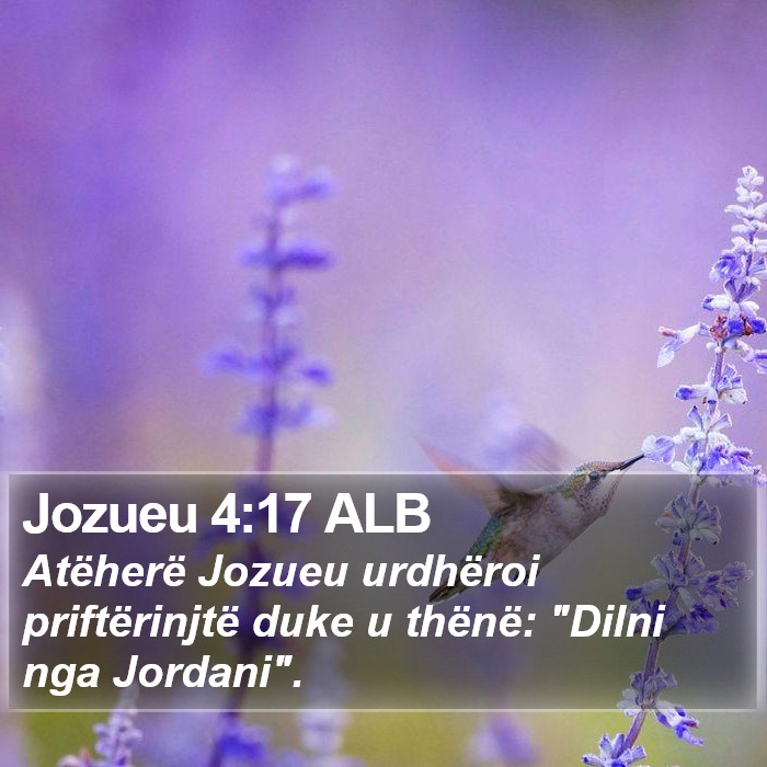 Jozueu 4:17 ALB Bible Study