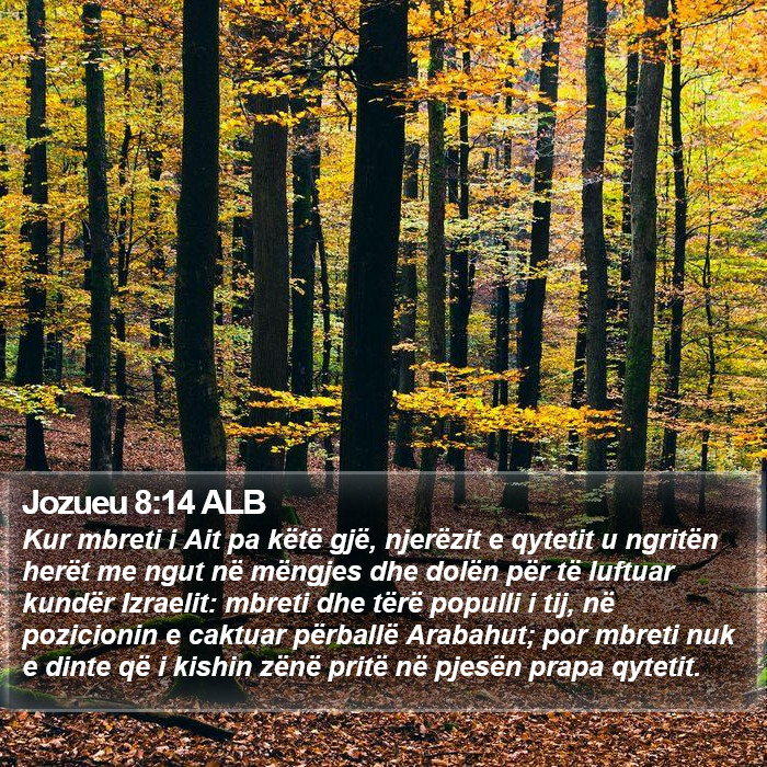 Jozueu 8:14 ALB Bible Study