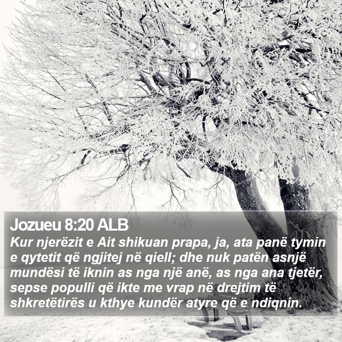 Jozueu 8:20 ALB Bible Study