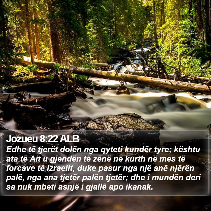 Jozueu 8:22 ALB Bible Study