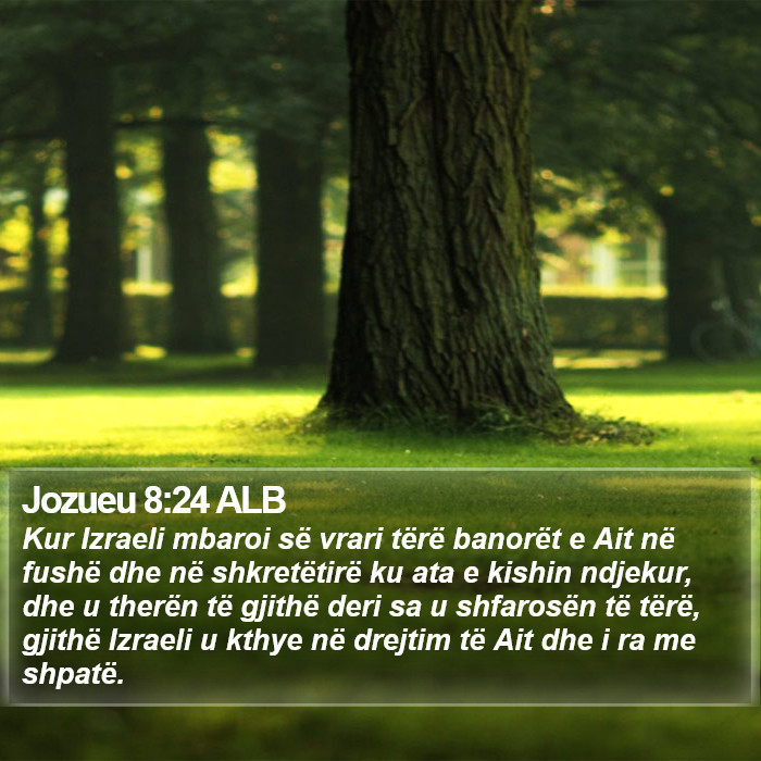 Jozueu 8:24 ALB Bible Study