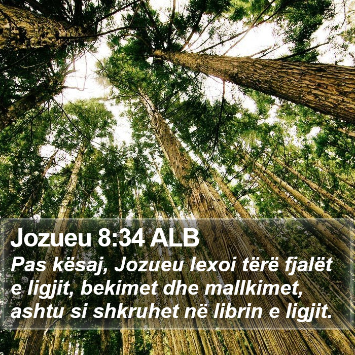 Jozueu 8:34 ALB Bible Study