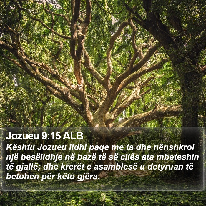 Jozueu 9:15 ALB Bible Study
