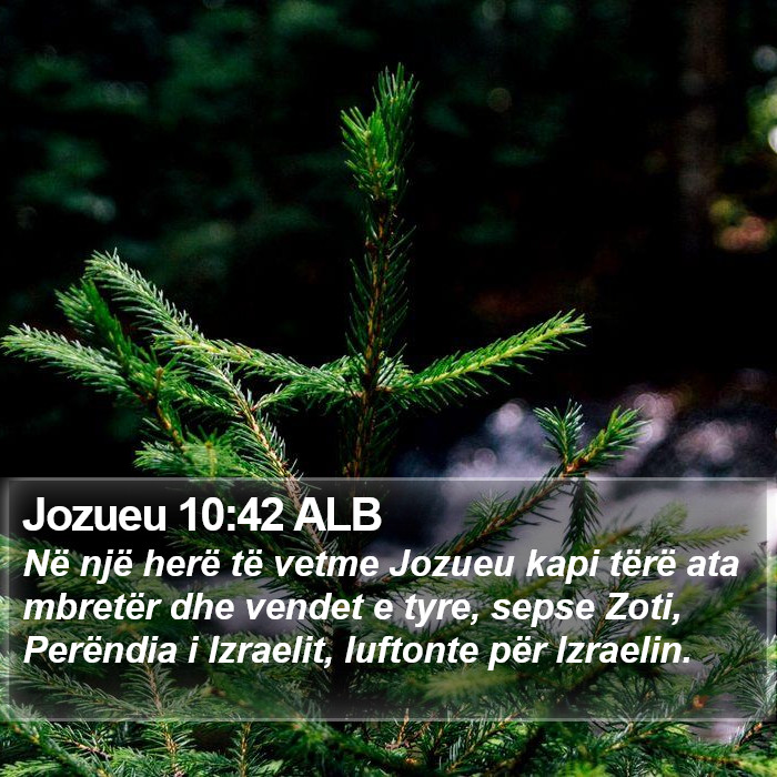 Jozueu 10:42 ALB Bible Study