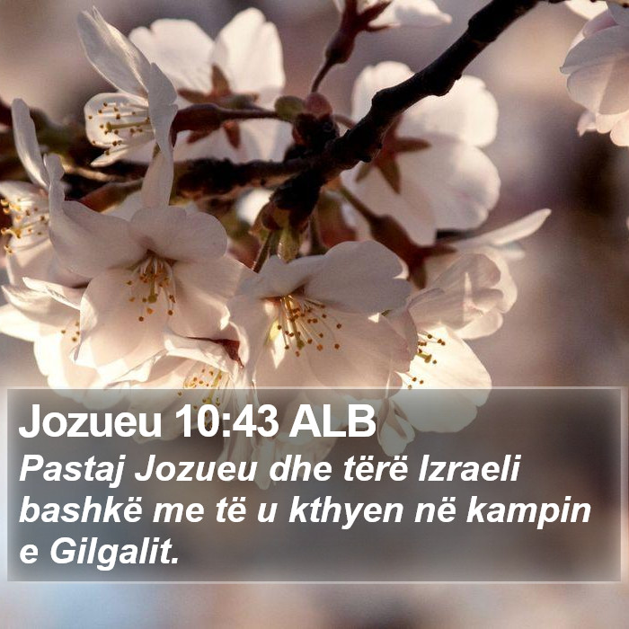 Jozueu 10:43 ALB Bible Study