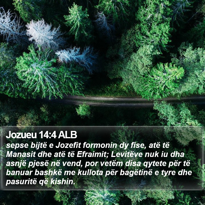 Jozueu 14:4 ALB Bible Study