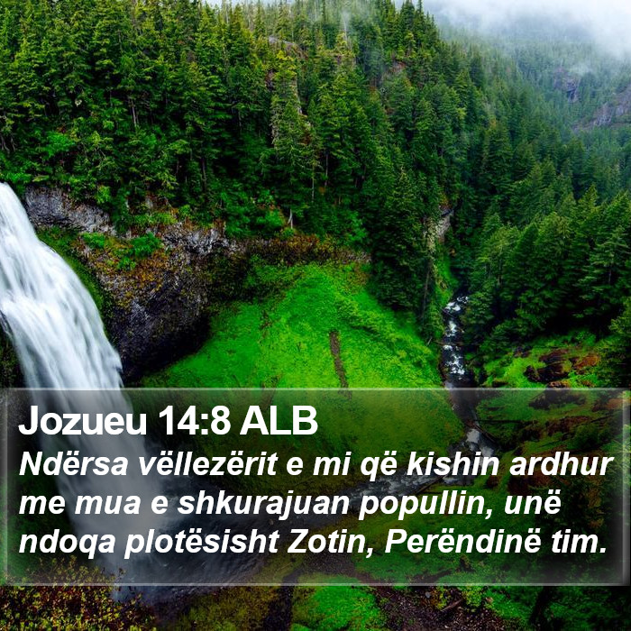Jozueu 14:8 ALB Bible Study