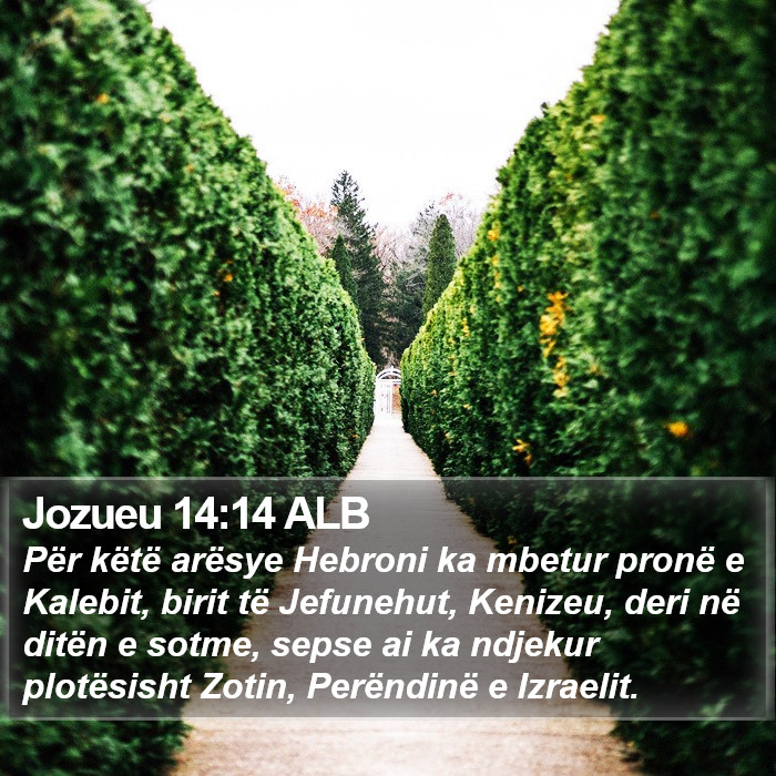 Jozueu 14:14 ALB Bible Study