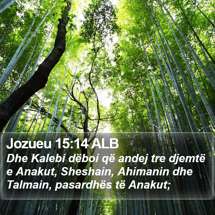 Jozueu 15:14 ALB Bible Study