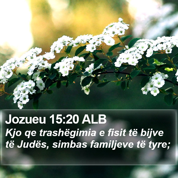 Jozueu 15:20 ALB Bible Study