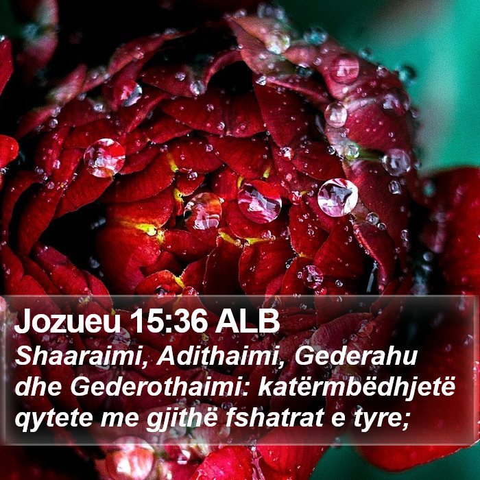 Jozueu 15:36 ALB Bible Study