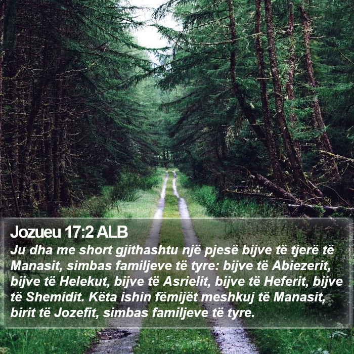 Jozueu 17:2 ALB Bible Study
