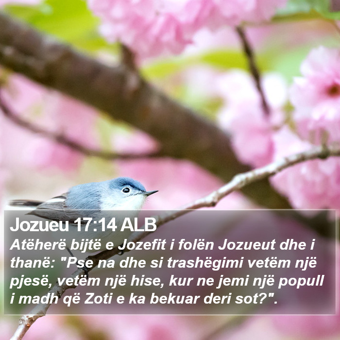 Jozueu 17:14 ALB Bible Study