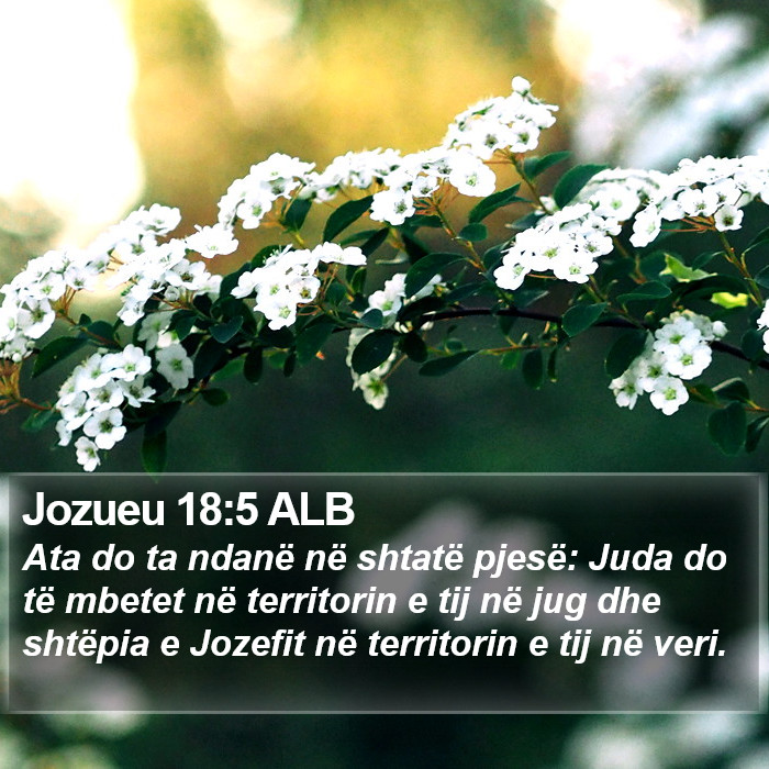 Jozueu 18:5 ALB Bible Study