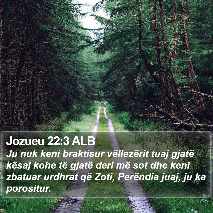 Jozueu 22:3 ALB Bible Study