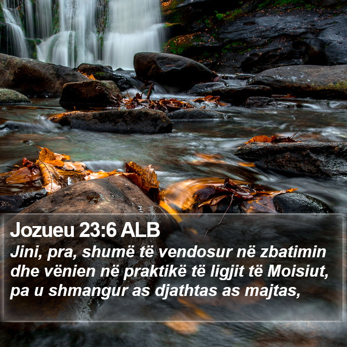 Jozueu 23:6 ALB Bible Study