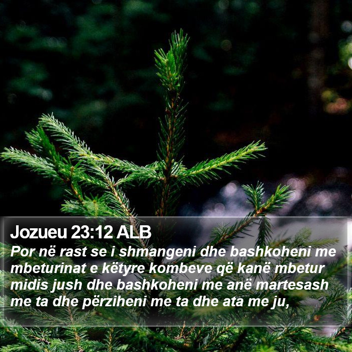 Jozueu 23:12 ALB Bible Study