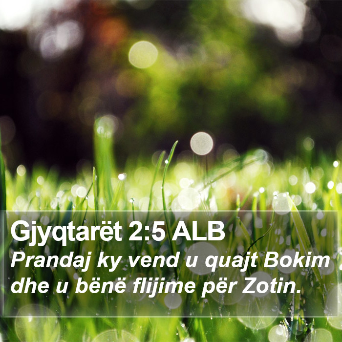Gjyqtarët 2:5 ALB Bible Study
