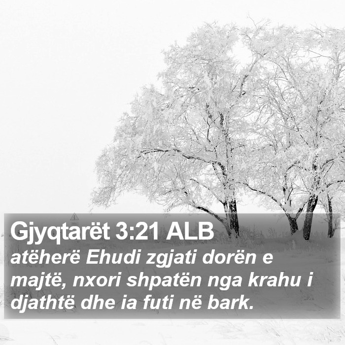 Gjyqtarët 3:21 ALB Bible Study