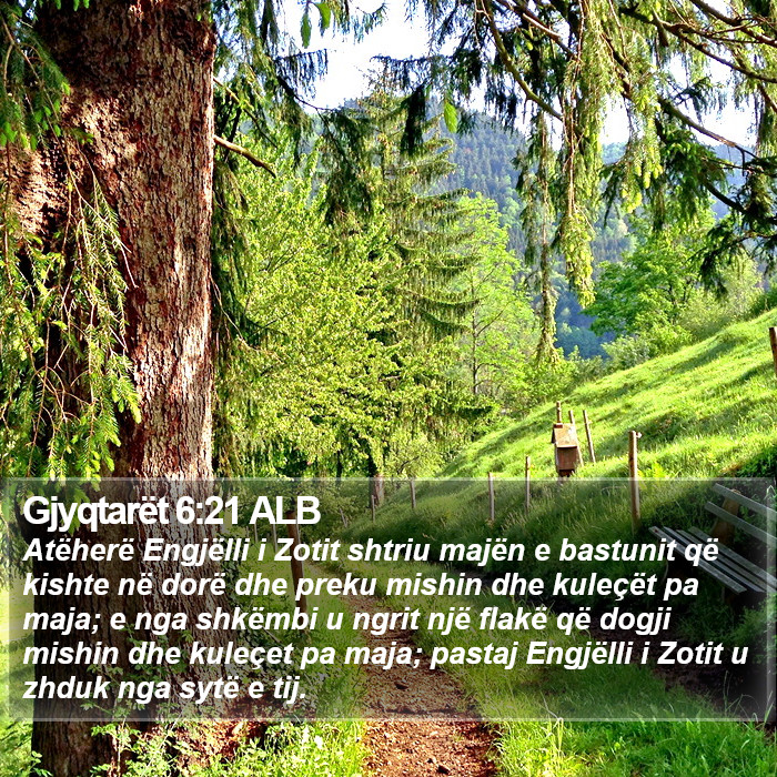 Gjyqtarët 6:21 ALB Bible Study