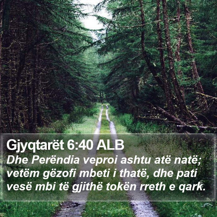 Gjyqtarët 6:40 ALB Bible Study