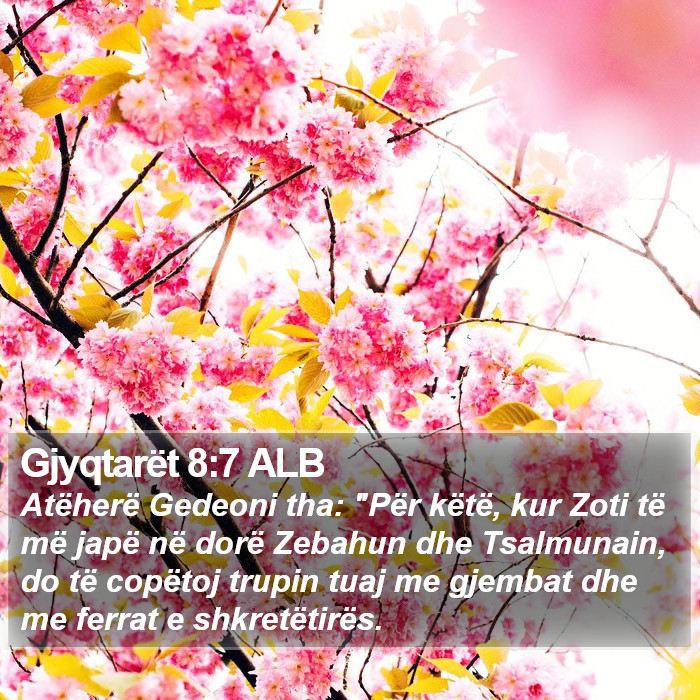 Gjyqtarët 8:7 ALB Bible Study