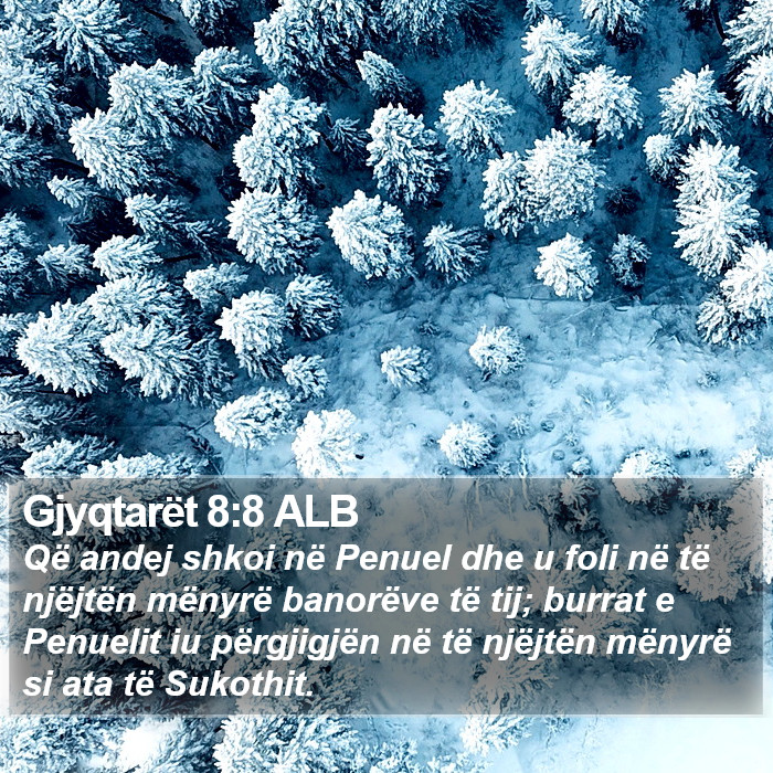 Gjyqtarët 8:8 ALB Bible Study