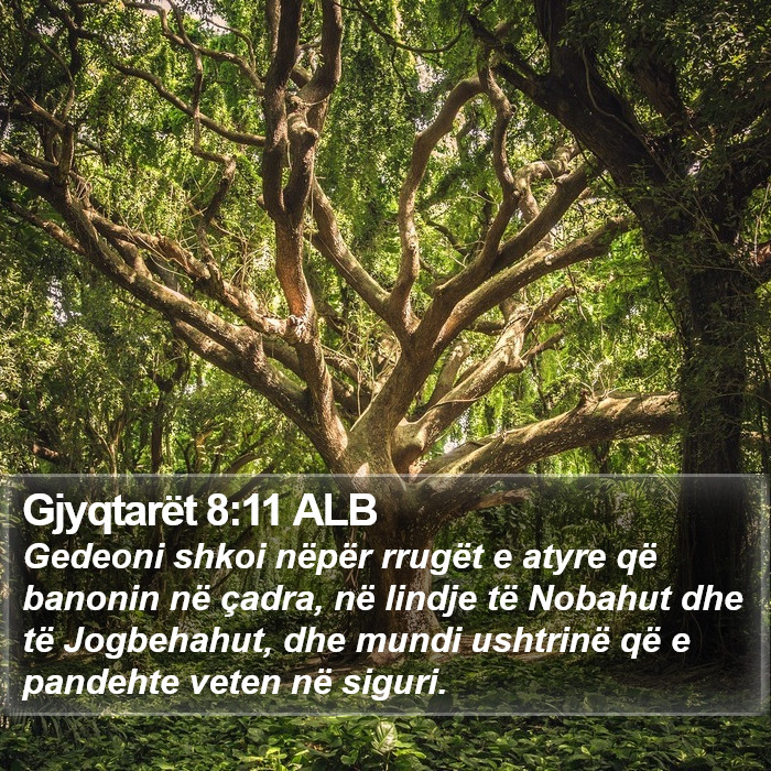 Gjyqtarët 8:11 ALB Bible Study